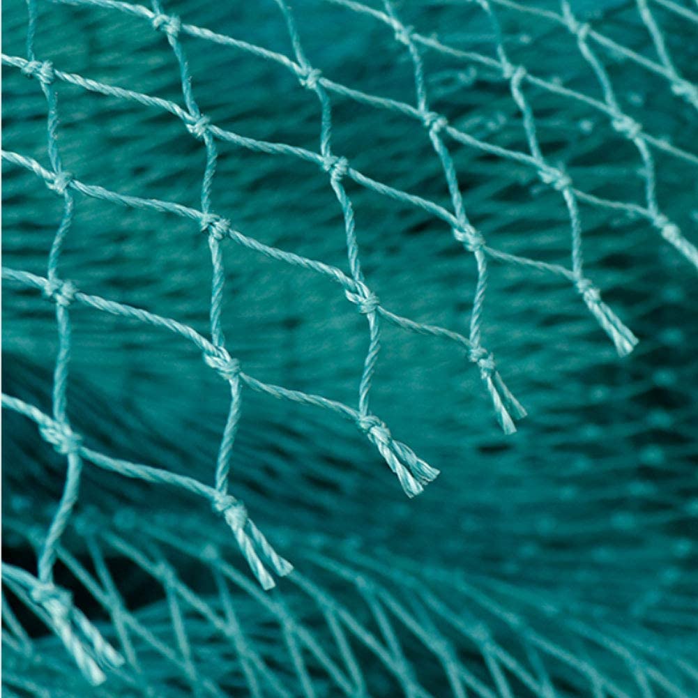 鳥に対する保護ネット,しっかりとした,庭,作物,家禽,鹿,猫 - Fishing Equipment Net のレビューと価格